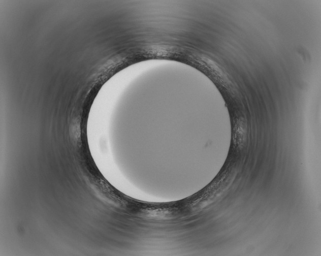 X0000111220500200908131104