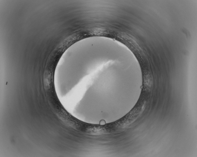 X0000111220503200908131104