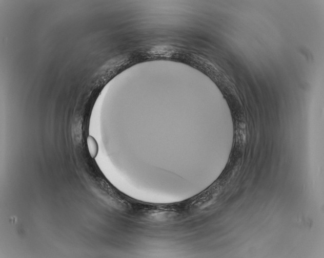 X0000111220504200908131104