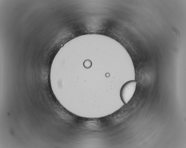 X0000111220505200908131104