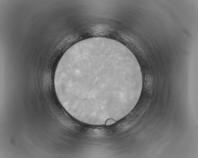 X0000111220506200908131104