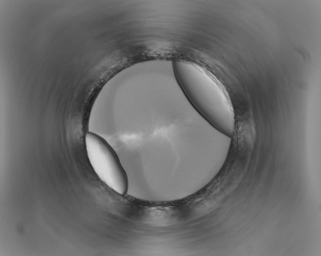X0000111220508200908131104