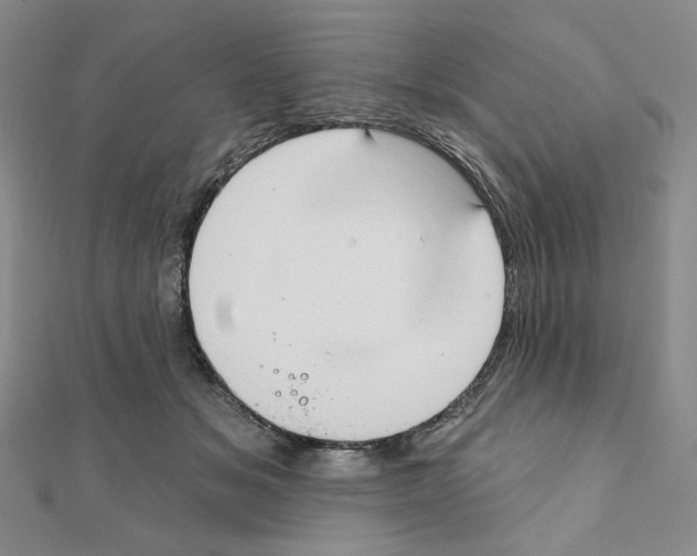 X0000111220509200908131104