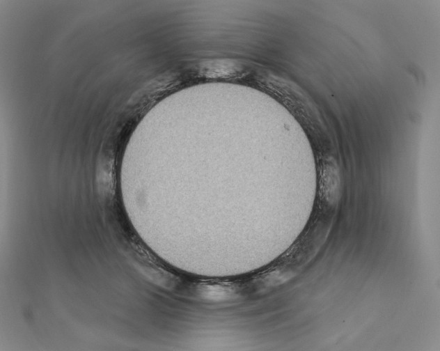 X0000111220510200908131104