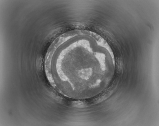 X0000111220511200908131104