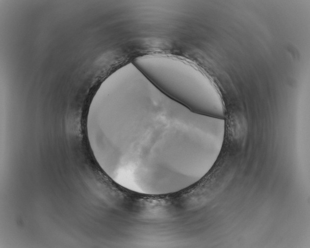 X0000111220512200908131104