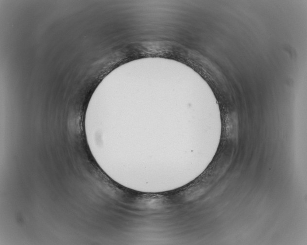 X0000111220514200908131104