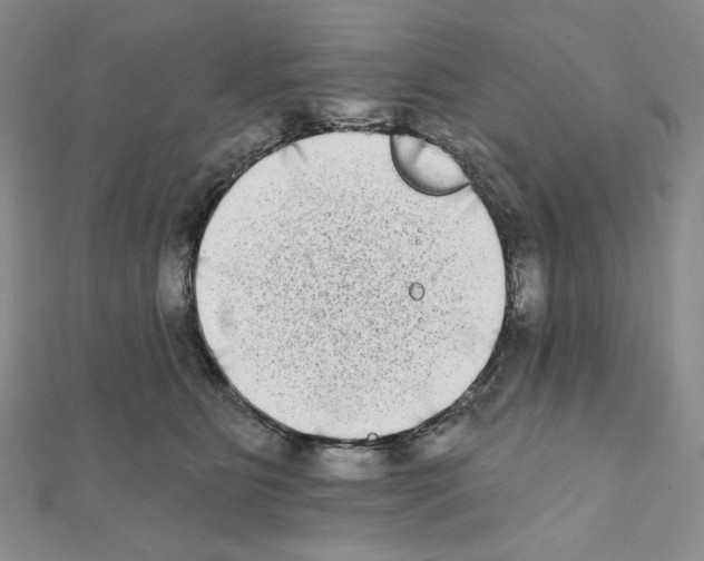 X0000111220515200908131104