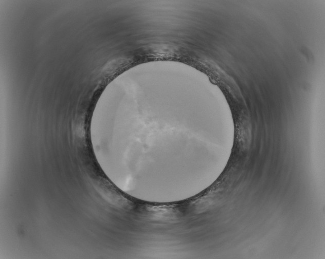 X0000111220516200908131104