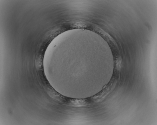 X0000111220517200908131104