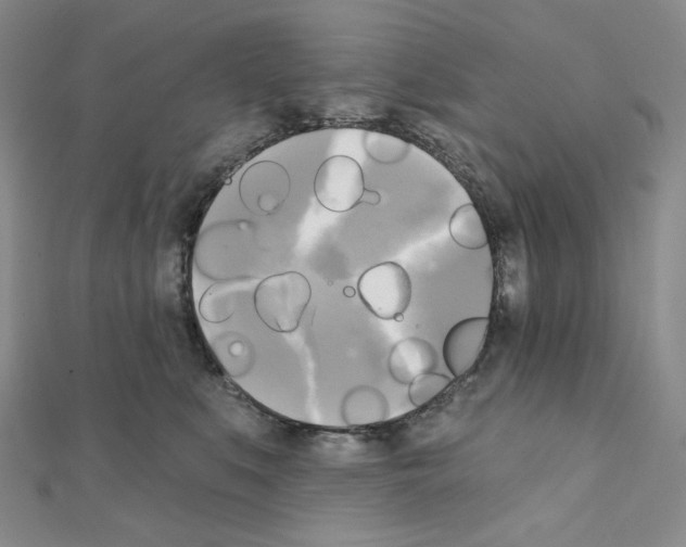 X0000111220519200908131104