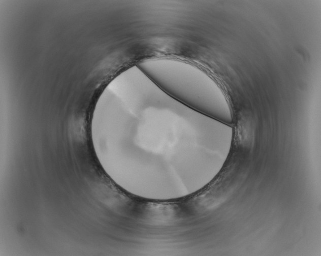 X0000111220520200908131104