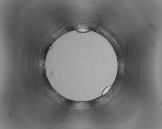X0000111220521200908131104