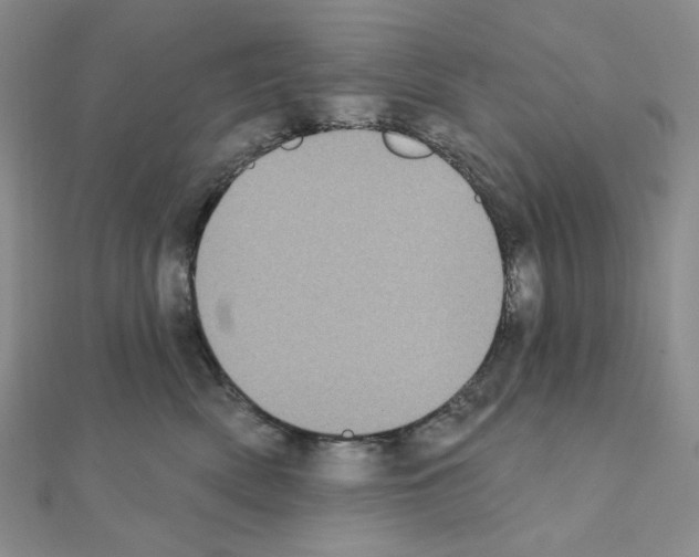 X0000111220522200908131104