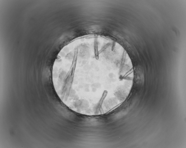 X0000111220523200908131104