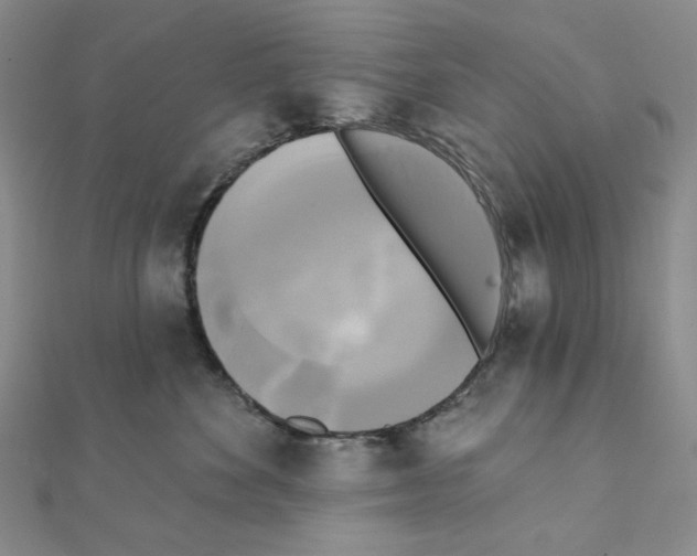 X0000111220524200908131104