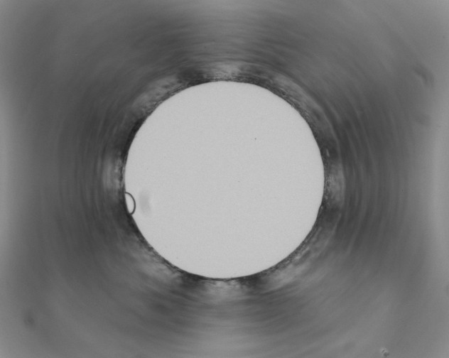 X0000111220525200908131104