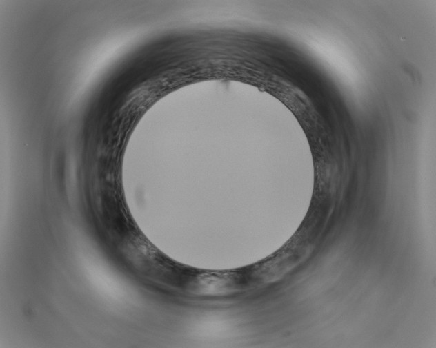 X0000111220526200908131104