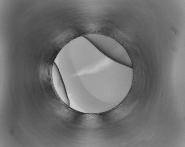 X0000111220528200908131104