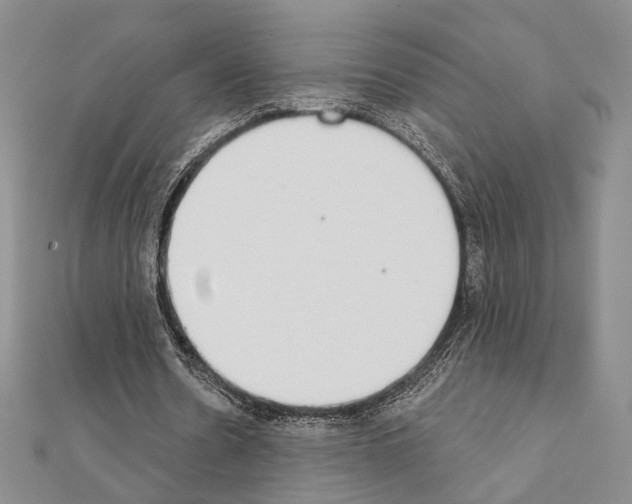 X0000111220530200908131103