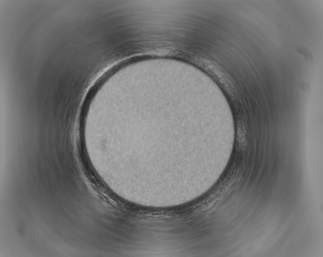 X0000111220532200908131103