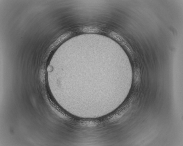 X0000111220533200908131103