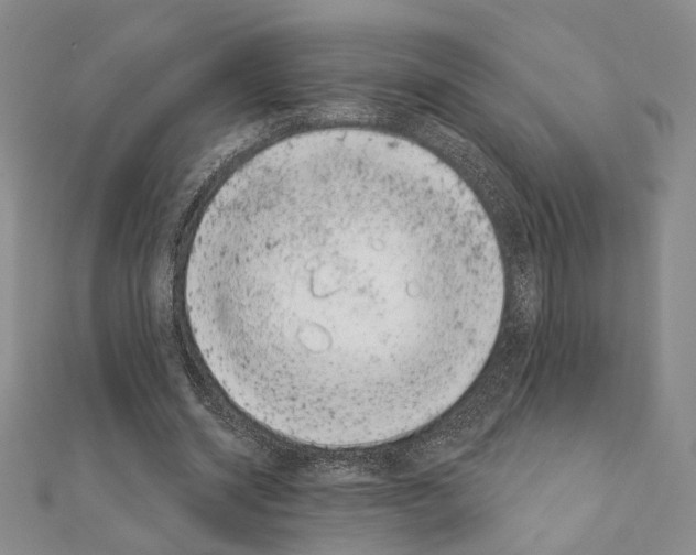 X0000111220534200908131103