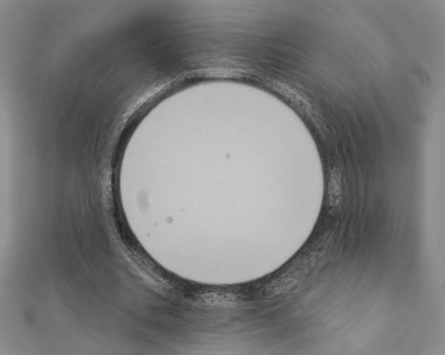 X0000111220535200908131103