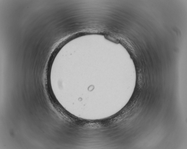 X0000111220536200908131103