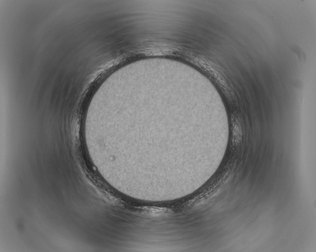 X0000111220539200908131103