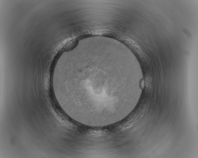 X0000111220540200908131103