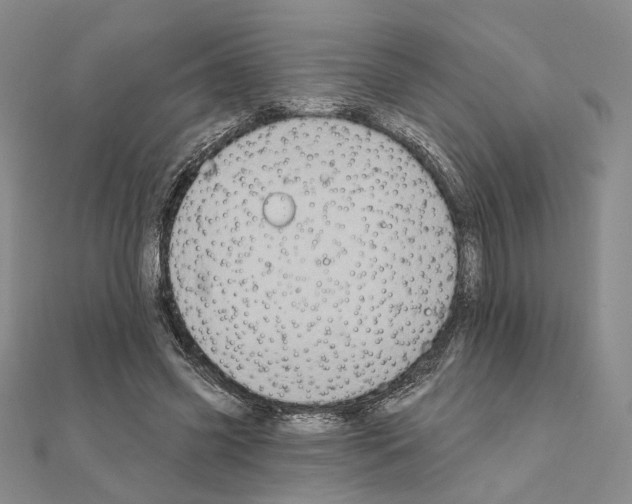 X0000111220541200908131103