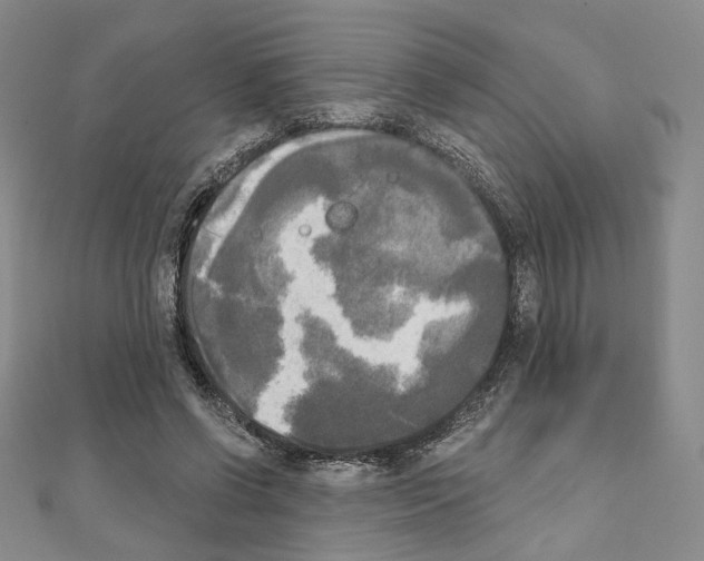 X0000111220542200908131103