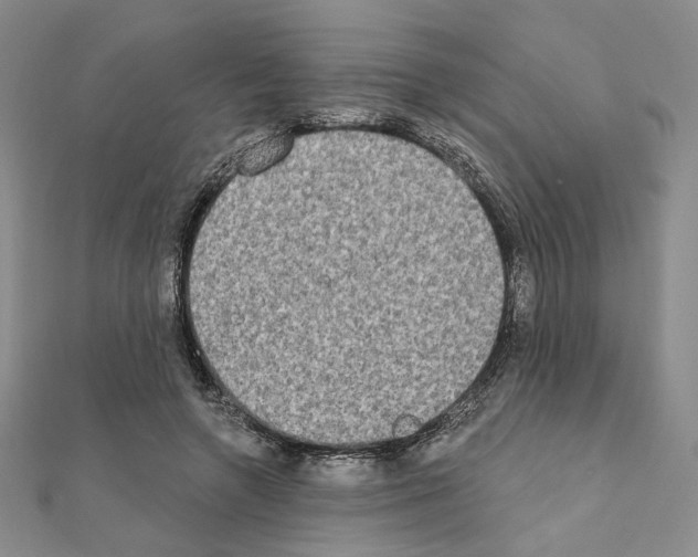 X0000111220546200908131104