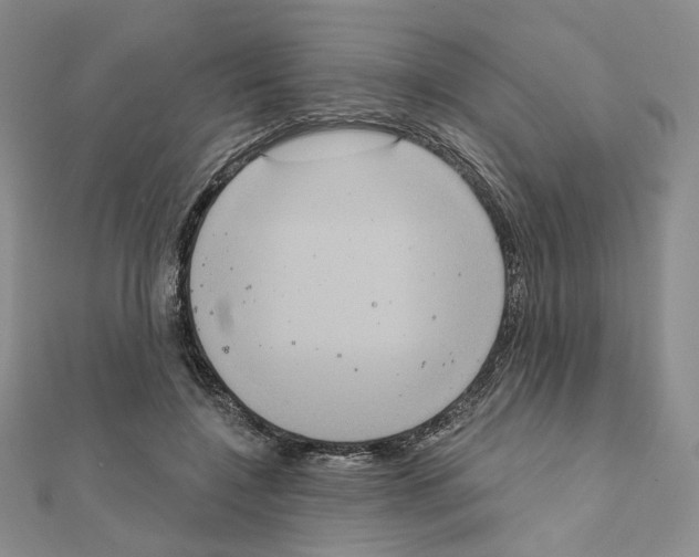 X0000111220548200908131104