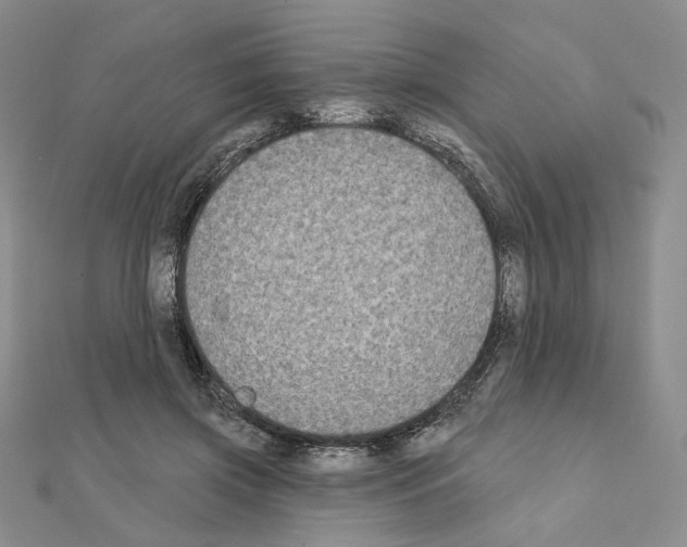 X0000111220549200908131104