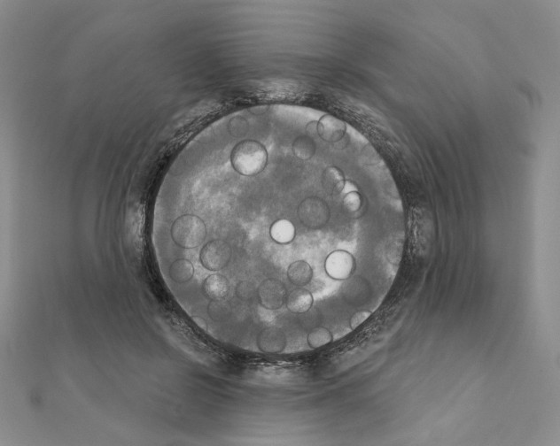 X0000111220550200908131104