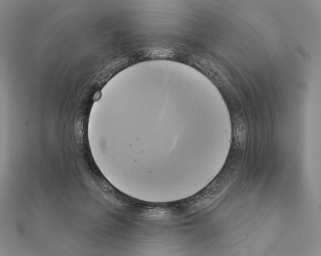 X0000111220551200908131104