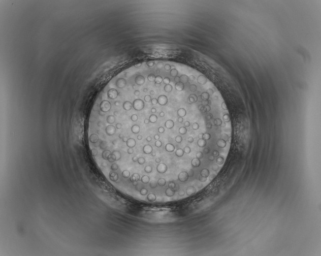 X0000111220554200908131104