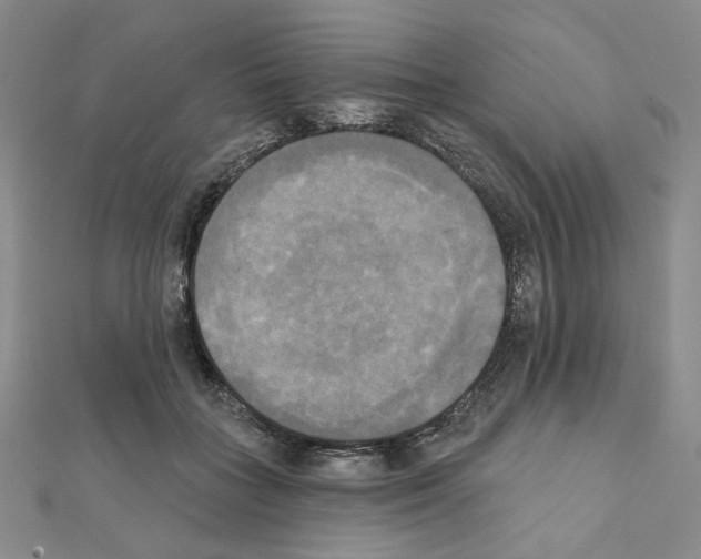 X0000111220555200908131104