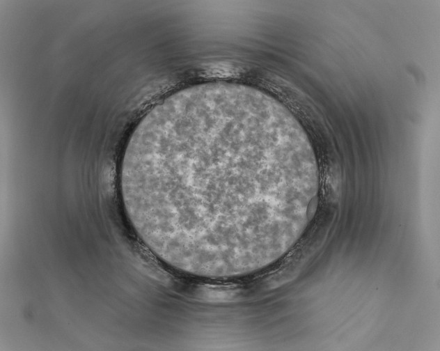 X0000111220556200908131104