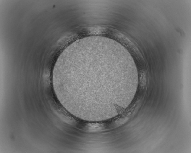X0000111220557200908131104