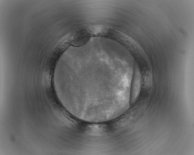 X0000111220558200908131104