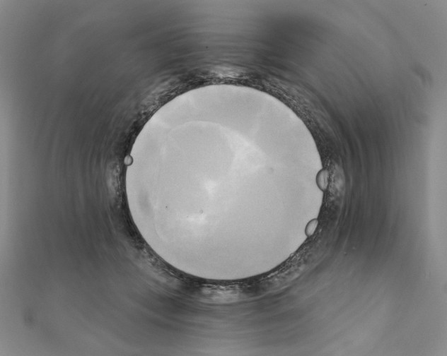 X0000111220559200908131104