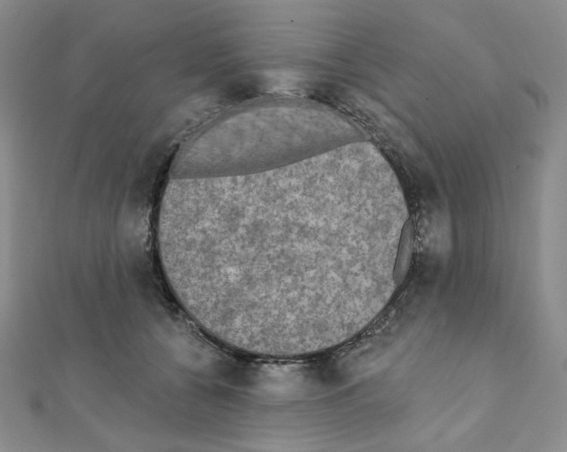 X0000111220560200908131104