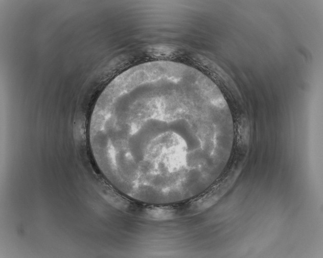 X0000111220561200908131104