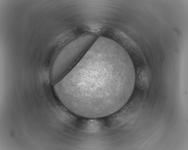 X0000111220562200908131104