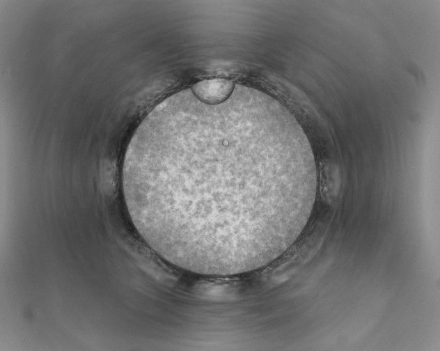 X0000111220563200908131104