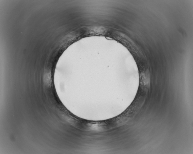 X0000111220564200908131104