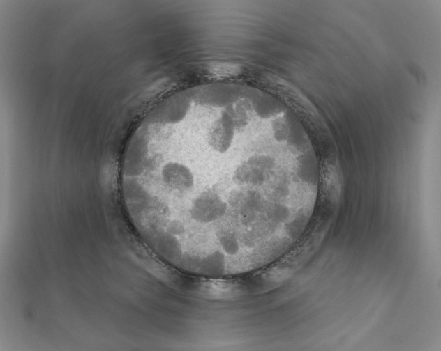 X0000111220565200908131104